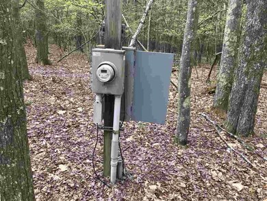 60 Lawrence Hill Rd, Rochester, NY 12404 - photo 6