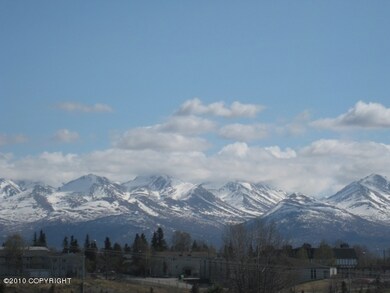 View From Rooftop Terrace