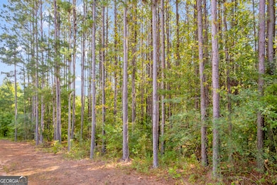 0 Moonlight Dr unit 10598549, Martin, GA 30557 - photo 2