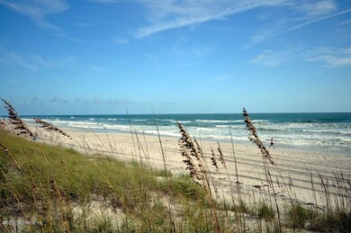 Nature's Beauty to Buffer the Tides