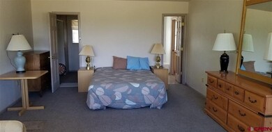 0 Armitage Springs Rd unit 762907, Powderhorn, CO 81243 - photo 6