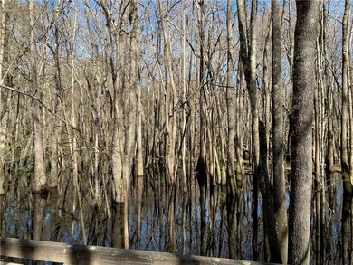 Hard Wood Swamp