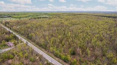 1-web-or-mls-DJI_0002