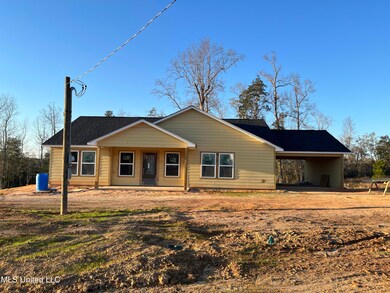 143 Beaver Dam Rd, Mc Henry, MS 39561 - photo 3