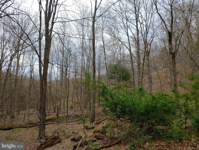 0 Horn Camp Rd unit WVHS115546, Rio, WV 26755 - photo 7