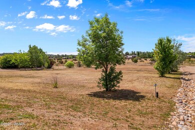 7019StagecoachPass-ShowLow-AZ-6