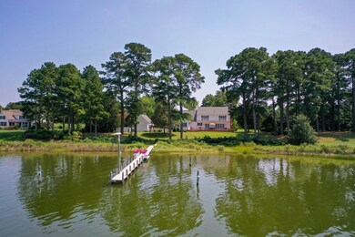 Back Creek View