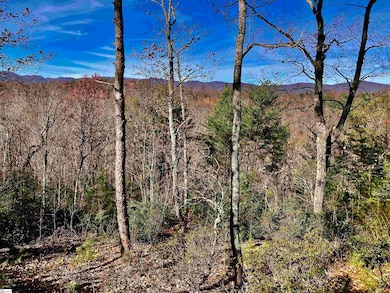 1 Sweet Fern Way, Marietta, SC 29661 - photo 4