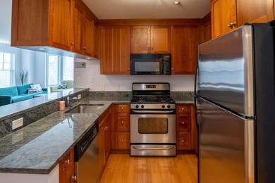 2-14 Saint Paul St unit 307, Brookline, MA 02446 - photo 4