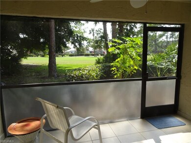 view from lanai