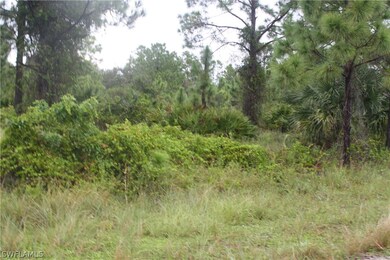 1260 Belfast Ave, Lehigh Acres, FL 33913 - photo 5