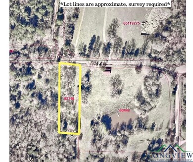Aerial map of property and surrounding area with property parcel outlined