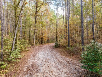 036-DJI_0931-HDR