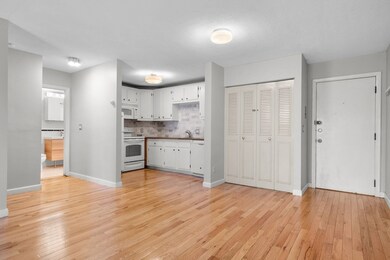 804 Centre St unit 104, Jamaica Plain, MA 02130 - photo 6