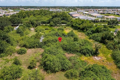 10800 Bill Tucker Rd, Wimauma, FL 33598 - photo 5