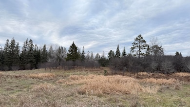 Lt3 Boat Landing 11 Rd, Athelstane, WI 54104 - photo 4