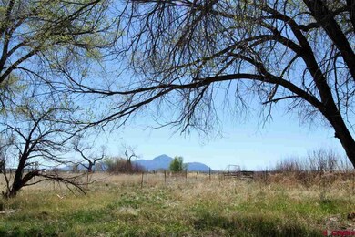 0 Road 26 unit 769726, Cortez, CO 81321 - photo 2