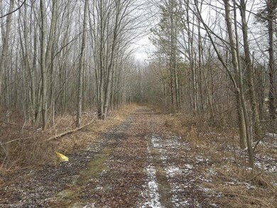 0 State Route 301 unit 3980441, Lagrange, OH 44050 - photo 3