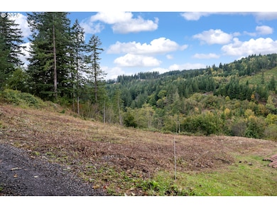 0000 NE 5th St, Washougal, WA 98671 - photo 6