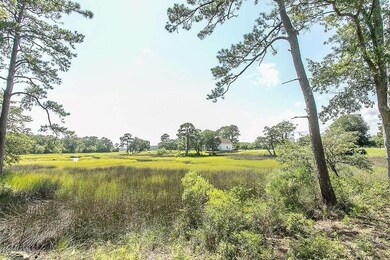 Marsh view 11