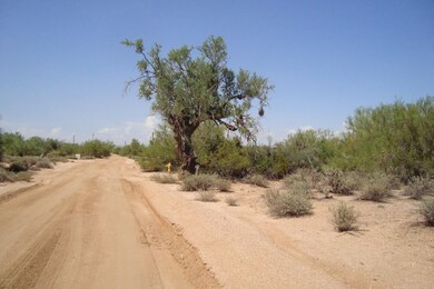 LOOKING NORTH ON 77TH ST