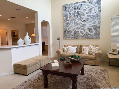 24115 Waterhole Ln, San Antonio, TX 78261 - photo 3