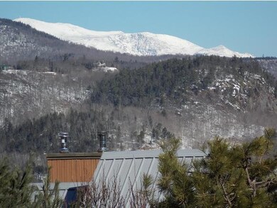 Views from the Deck