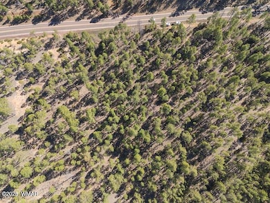 0 E Woolford Rd, Show Low, AZ 85901 - photo 3