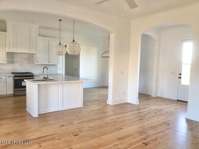 101 William Cove, Madison, MS 39110 - photo 2