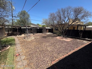 Back yard