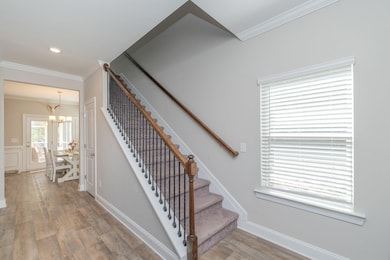 846 Mason Branch Rd, Ridge Spring, SC 29129 - photo 5