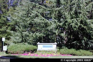 11 Spa Creek Landing unit A, Annapolis, MD 21403 - photo 4