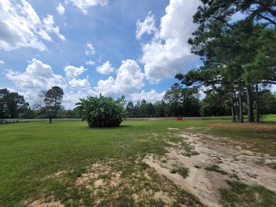 3218 S County Line Rd, Albany, GA 31705 - photo 5