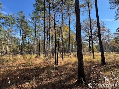 Rd, Luray, SC 29932 - photo 7