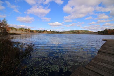382 Ray Rd unit 51, Henniker, NH 03242 - photo 3