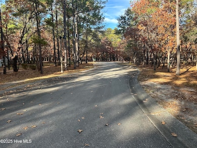 2905 N Magellan Blvd SE, Bolivia, NC 28422 - photo 4