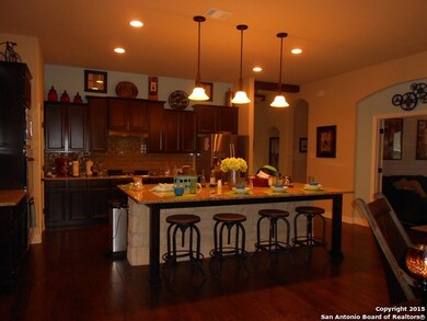 17918 Bierstadt Mount, Helotes, TX 78023 - photo 7