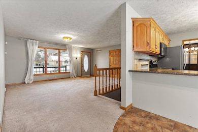 605 Morningside Dr, Chenoa, IL 61726 - photo 6