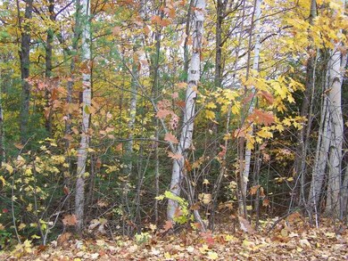 0 Pinnacle Rd unit Lot 9, Campton, NH 03223 - photo 3