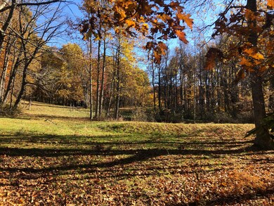 land by the cabin