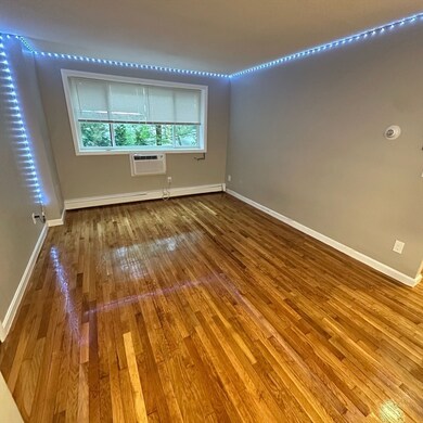 226 Parker Hill Ave unit 7, Roxbury Crossing, MA 02120 - photo 2