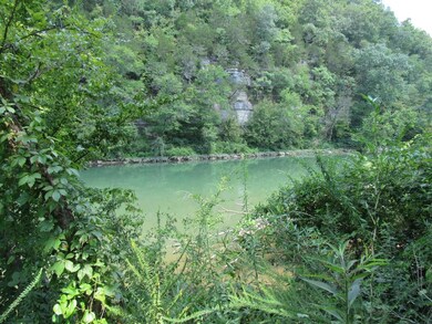 0 Lot 42 & 43 Dailey Loop unit 1849204, Linden, TN 37096 - photo 4