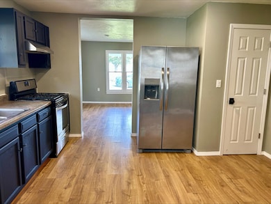 205 N Fleetwood St, Ava, MO 65608 - photo 6