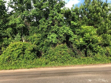 lt 19 E Longwood Meadows, Cypress, TX 77429 - photo 2