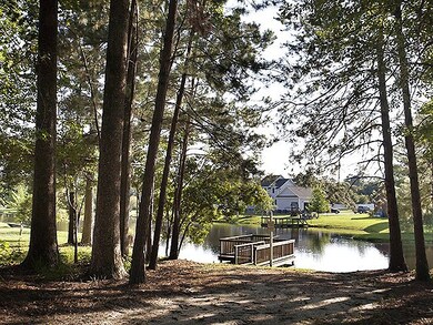 Recreation Area