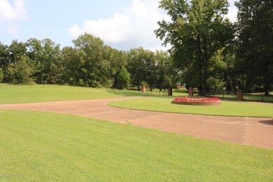 VIEW FROM FRONT DOOR
