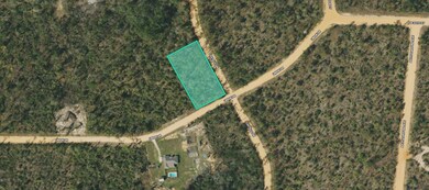 0 Union Dr, Alford, FL 32420 - photo 2