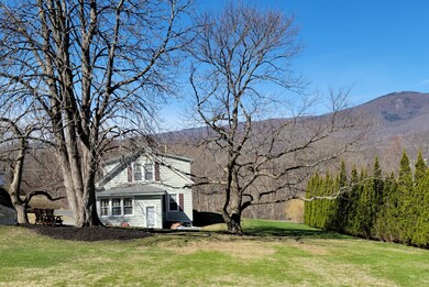 Back Yard 2