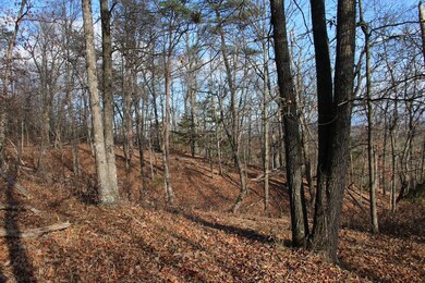 0 Supinlick Ridge Rd unit LotWP001, Mount Jackson, VA 22842 - photo 3