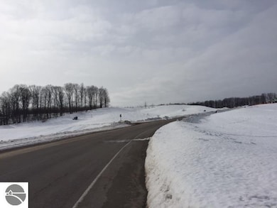 7583 E Meadows Dr unit 56, Cedar, MI 49621 - photo 2